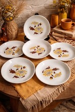 Lot 6 Assiettes Sovirel France
