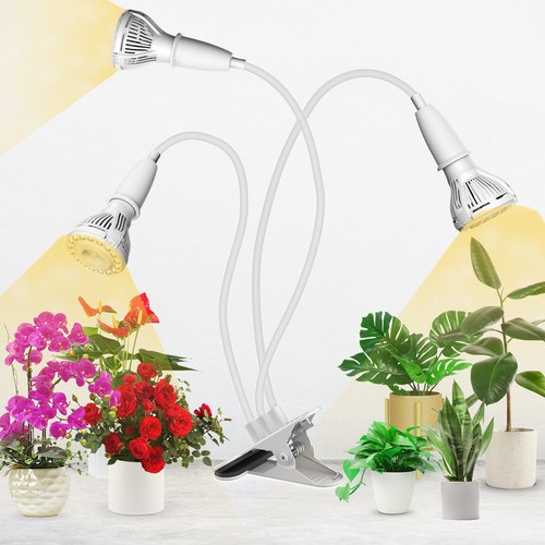 Grow light 30w led - light, à
