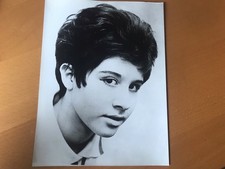 HELEN SHAPIRO - Photo presse