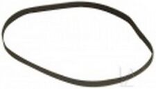 Courroie de pour Bang &