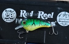 Leurre De Pêche Crankbait Bon État Marque Inconnue ( Illex/Megabass/Duo)