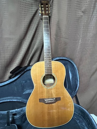étui semi rigide takamine - semi,