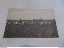 21  POMMARD  COTE D OR VUE