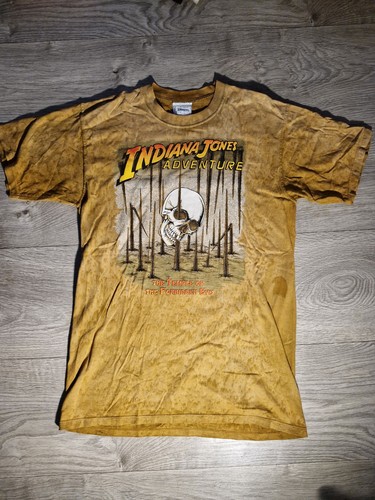 Disneyland paris shirt - disneyland,