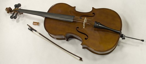 Vollmassives violoncelle - vollmassives,