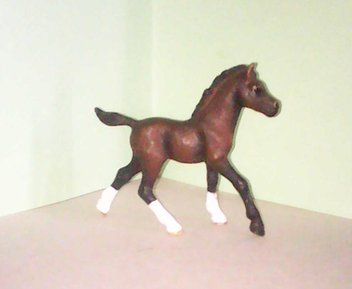 Schleich poulain arabe - schleich,