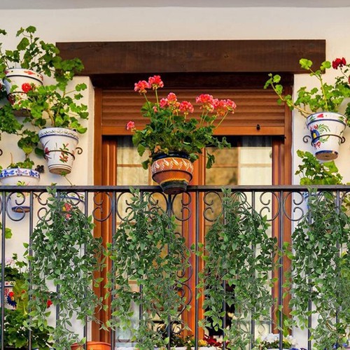 Plantes suspendre - plantes, à