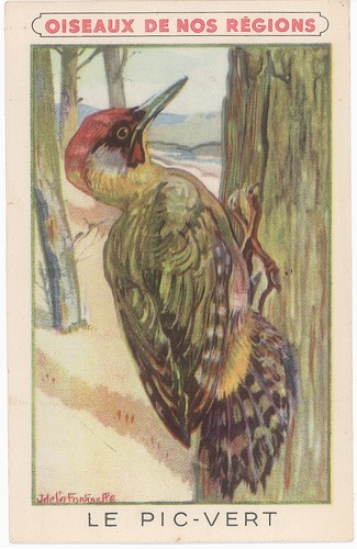 Chromo oiseaux nos regions - oiseaux, de