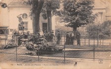 75-PARIS GARDEN OF PLANTS SEA LION BASIN-N�5184-D/0177