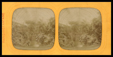 Paris, Acclimatization Garden, Plants in the Greenhouse, ca.1860, stereo day/