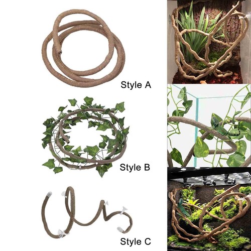 Reptile vines - reptile,