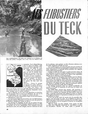 VIETNAM / MEKONG ""TEAK FLIBUSTERS / WOOD SUPPLY CHAIN"" ADP 1953