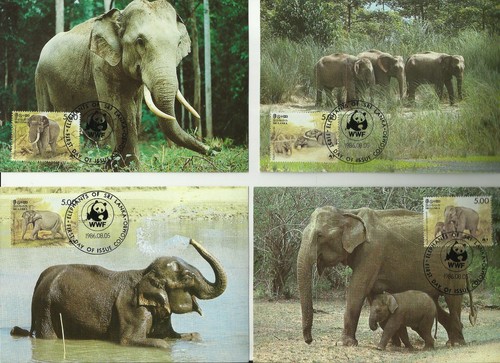 Wwf éléphant éléfante - wwf,