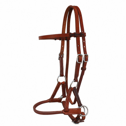 Horse western challenger - horse,