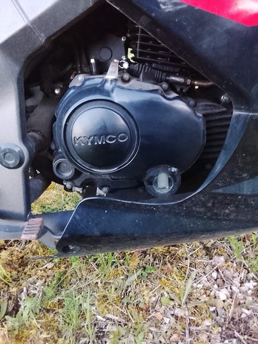 Moteur kymco cannon 125 - moteur,