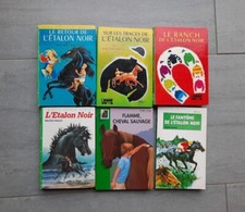 Livres L'Étalon Noir De