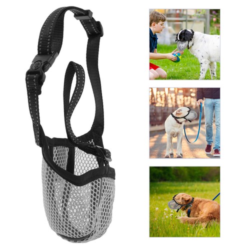 Muselière pour chien - muselière,