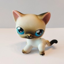 figurine petshop original chat européen short hair 05   pet shop lps  ( 2 )