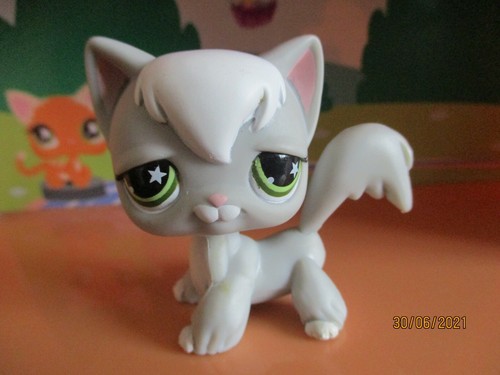 Petshop chat persian 954 - persian, #954