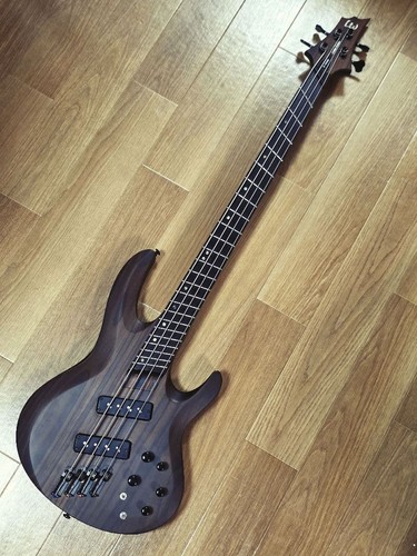 Esp ltd 1004se multiscale - esp,
