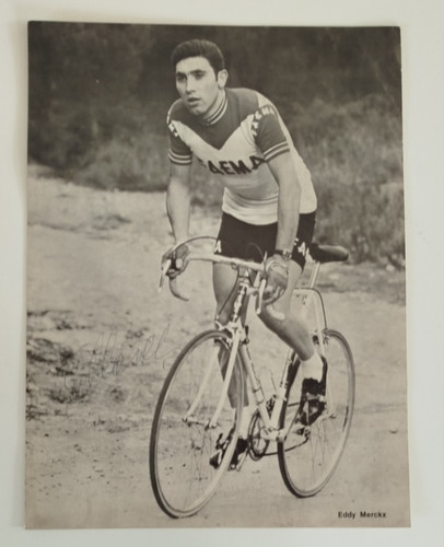 Eddy merckx firma originale - eddy,