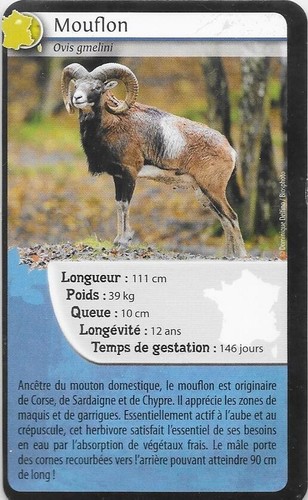 Carte bioviva mouflon - carte,