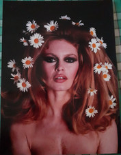 Magnifique Photo Portrait Couleur Brigitte Bardot