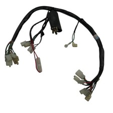 Faisceau Principal D Smc