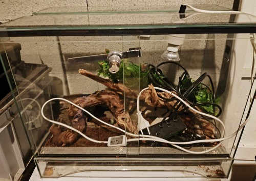 Lot terrarium vitre - ,