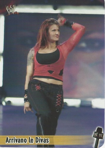 Card wwe smackdown - card,