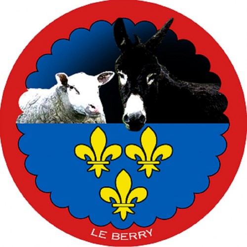 Mouton berrichon âne - mouton,