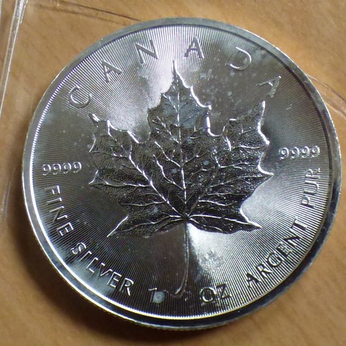 Canada maple leaf - maple,
