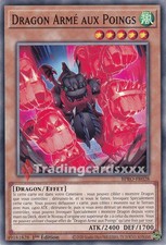 Yu-Gi-Oh! Dragon Armé aux