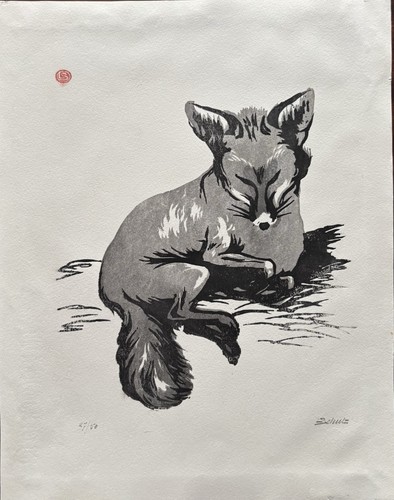 Renard repos léon - renard,