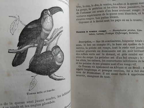 Manuel amateur des - de,