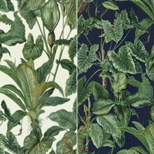 Erismann Paradisio Tropical