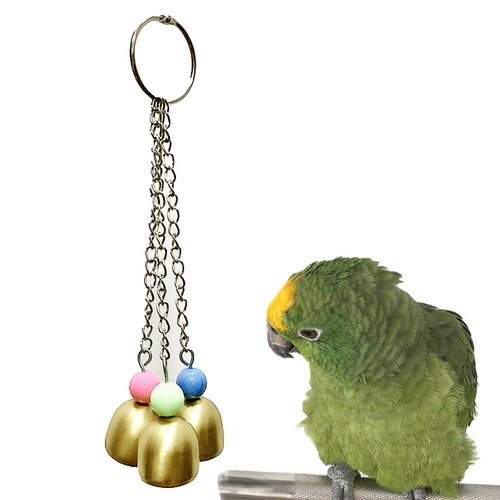 Pcs jouet perroquet oiseaux - pcs,