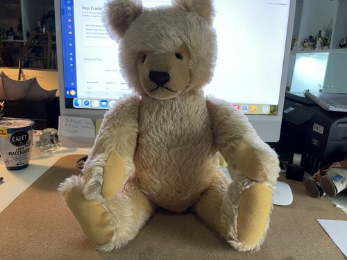 Ours peluche steiff tier - peluche,