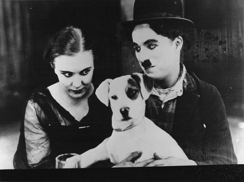 Edna purviance charlie - ,