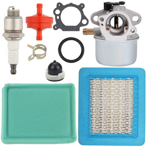 Carburateur 799868 pour