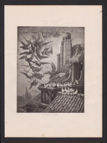 Les vautours - les,