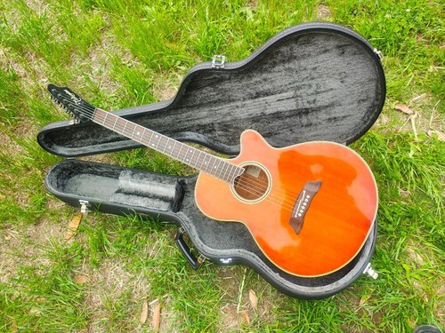 Takamine 108 avec - takamine,