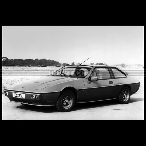 Photo 009785 lotus - a.009785,