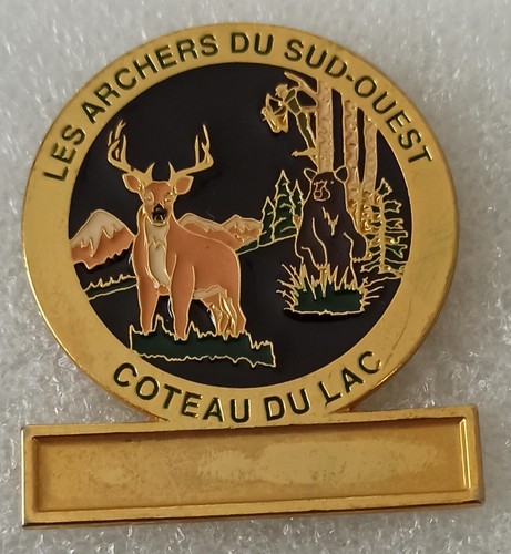 Archery pin tir arc les - archery,