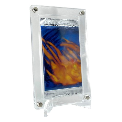 Protection pour pokemon - protection,