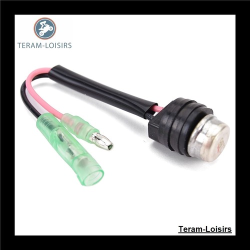 Sonde thermostat radiateur - thermostat,