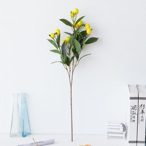 Citron branche fleurs - citron,