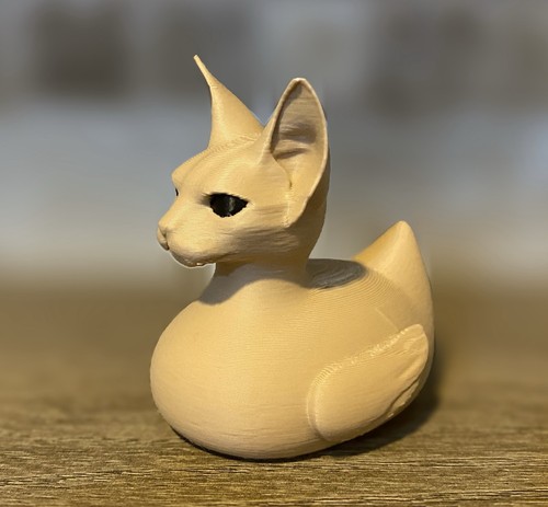 Sphynx cat duck - sphynx,