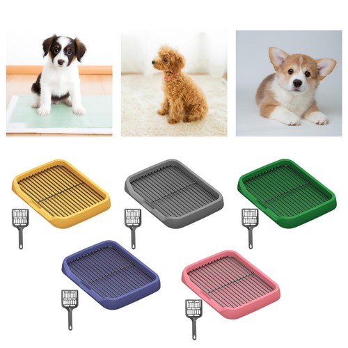 Toilette pour chien - ,, à