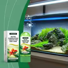 Tablettes Purification Eau